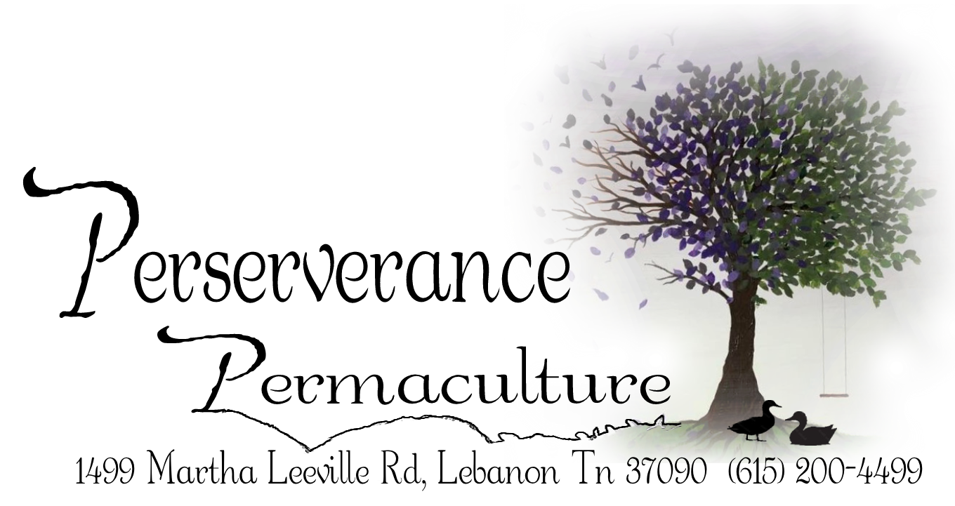 Perseverance Permaculture